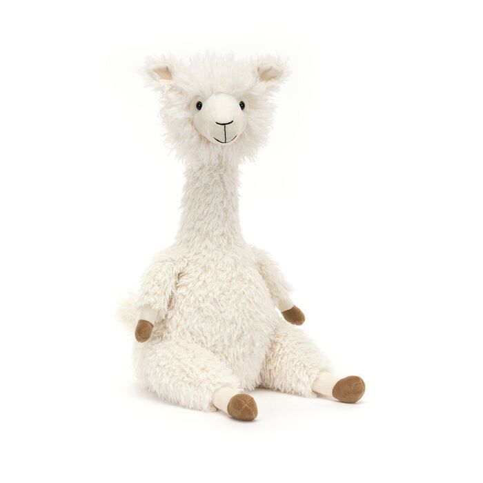 Alonso Alpaca