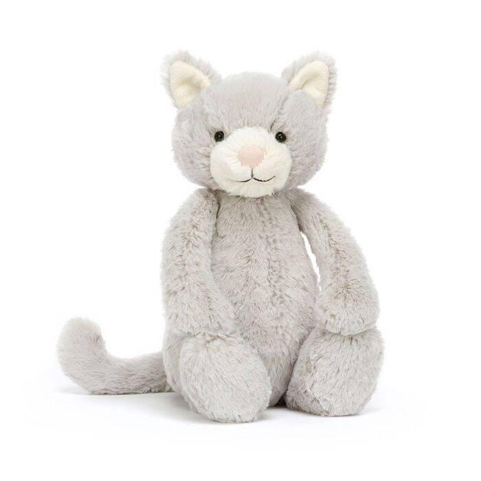 Bashful Grey Kitty