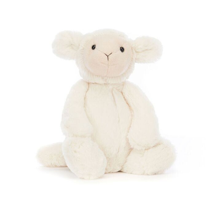 Bashful Lamb