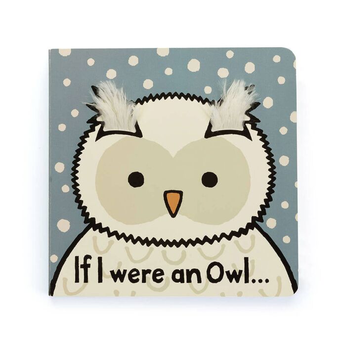 If I Were an Owl Board Book