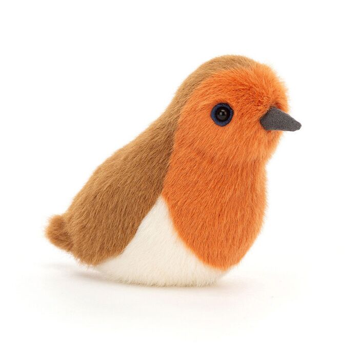 Birdling Robin