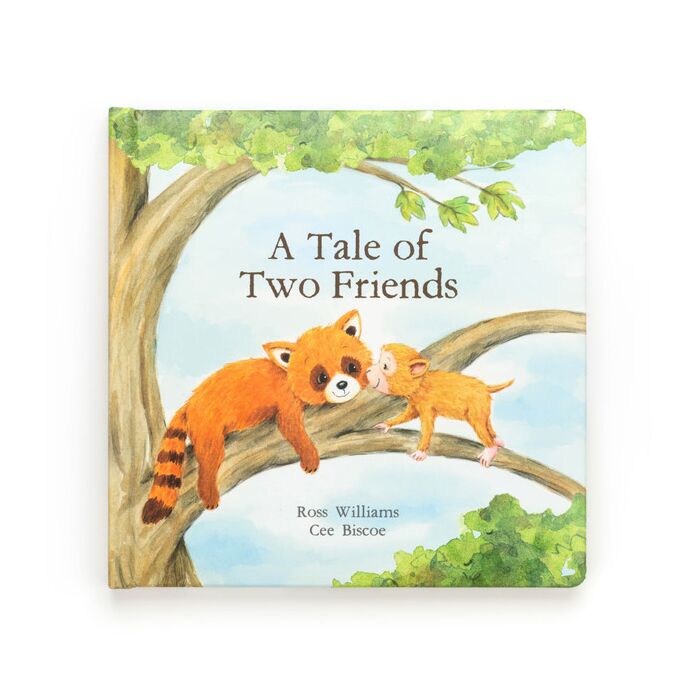 A Tale Of Two Friends Book