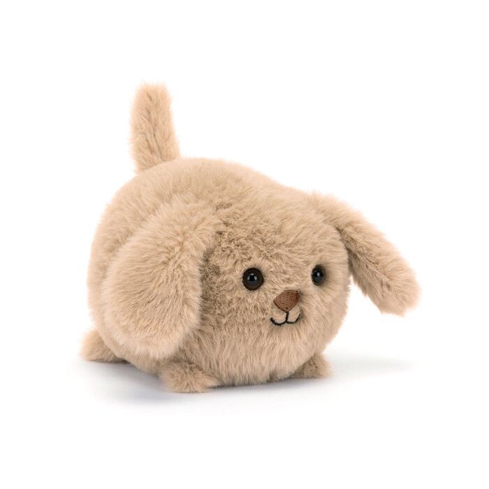 Caboodle Puppy