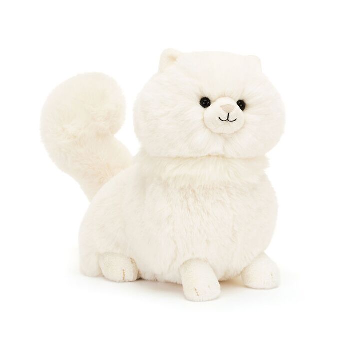 Carissa Persian Cat
