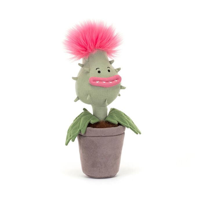 Carniflore Priscilla