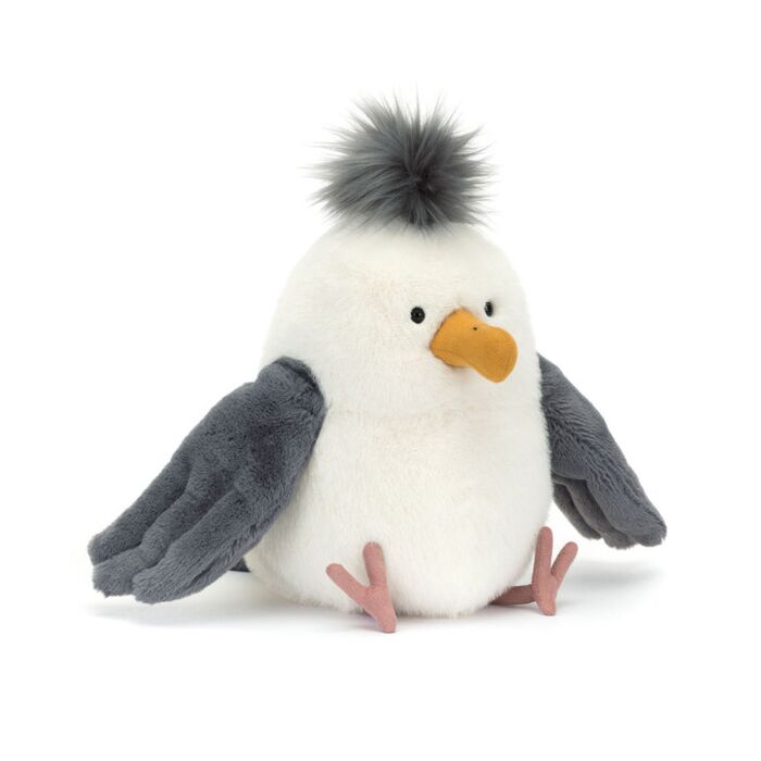 Chip Seagull