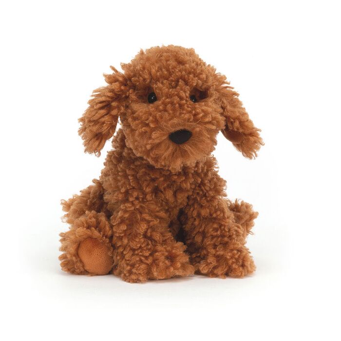 Cooper Doodle Dog
