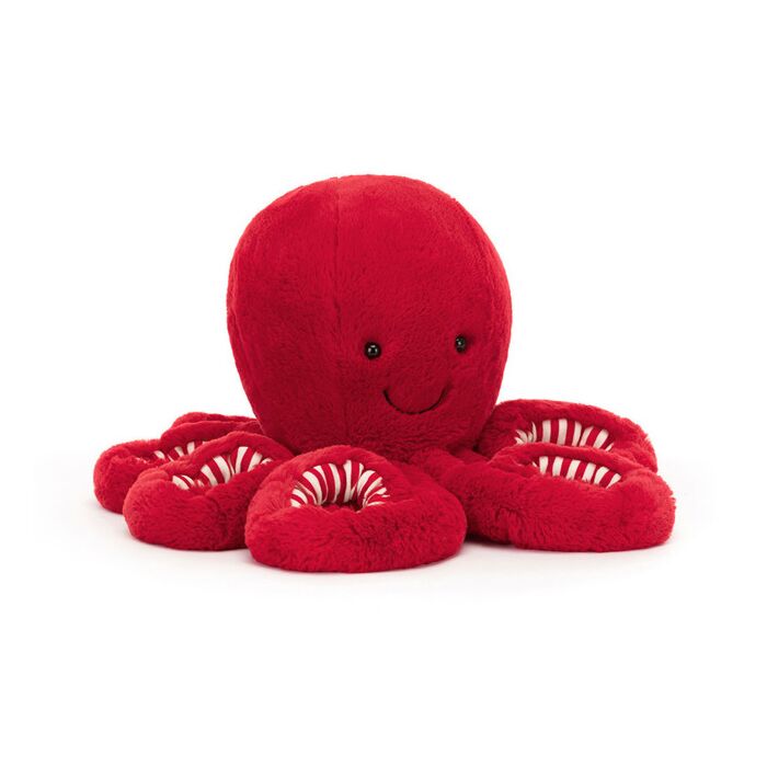 Cranberry Octopus