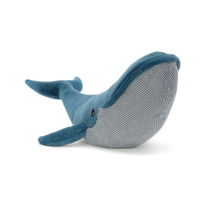Gilbert the Great Blue Whale