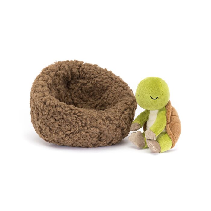 Hibernating Tortoise