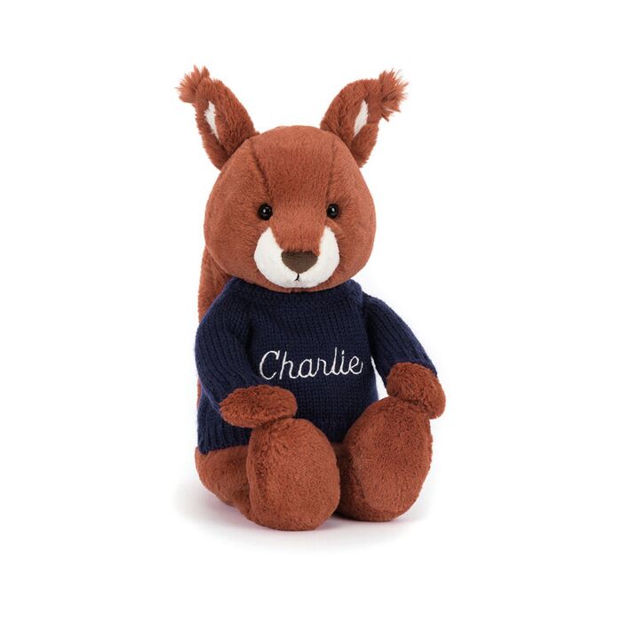 Bashful Squirrel with Personalised Navy Jumper