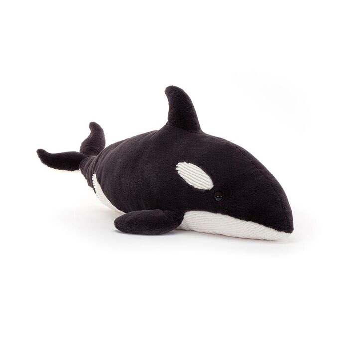 Ollivander the Orca