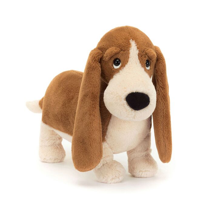 Randall Basset Hound