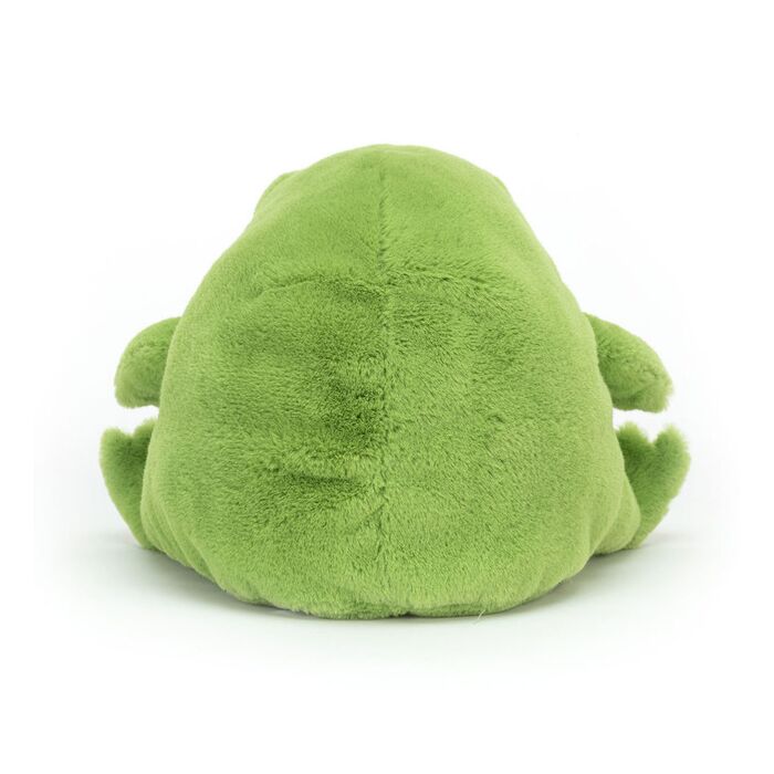 Ricky Rain Frog