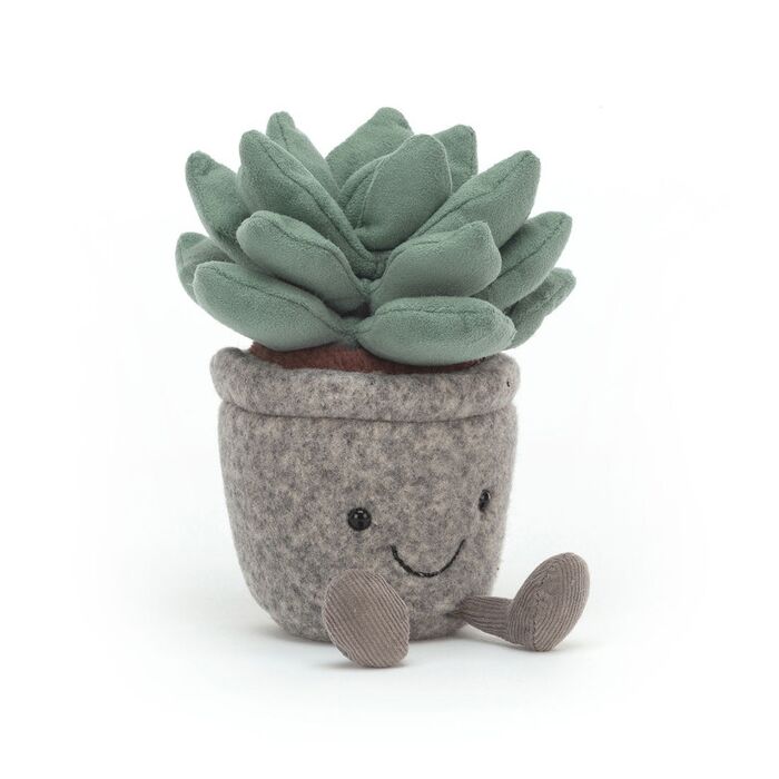 Silly Succulent Azulita