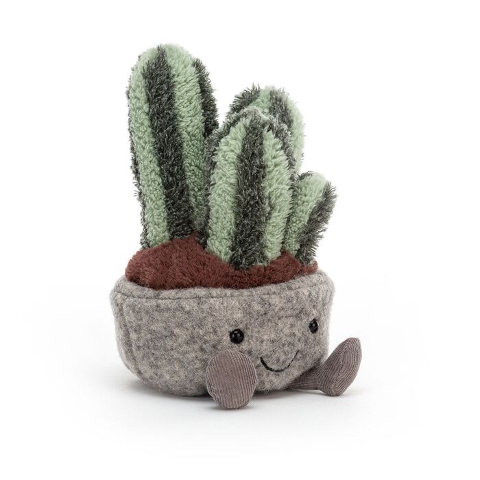 Silly Succulent Columnar Cactus