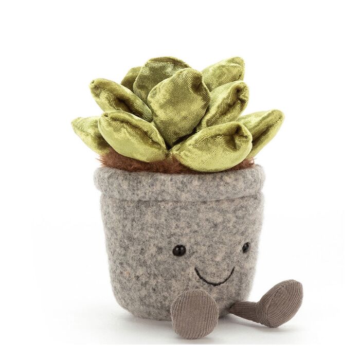 Silly Succulent Jade