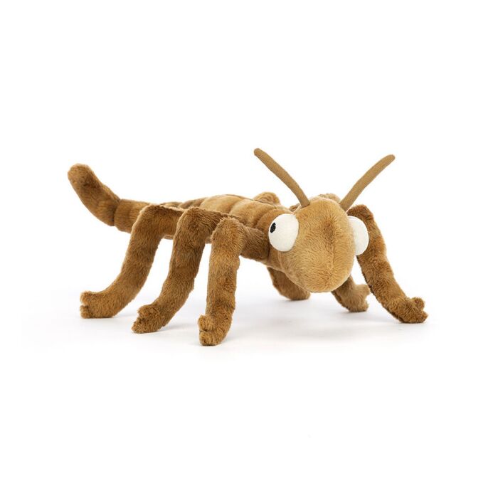 Stanley Stick Insect