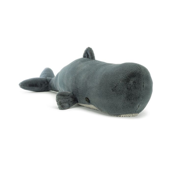 Sullivan the Sperm Whale