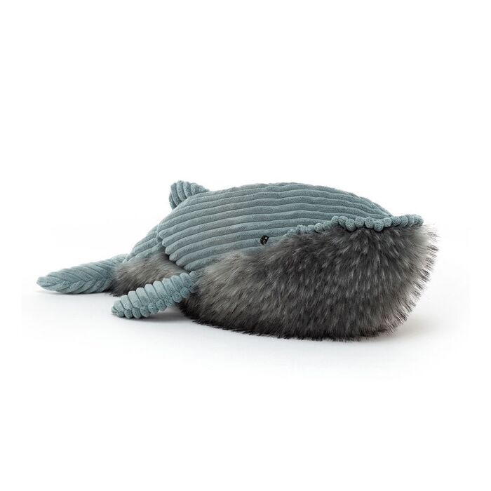 Wiley Whale