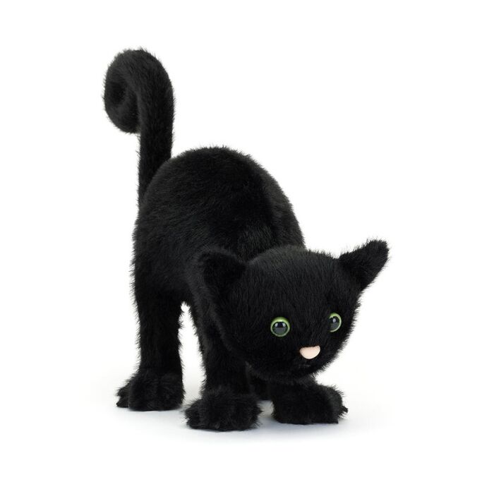 Spookipaws Cat