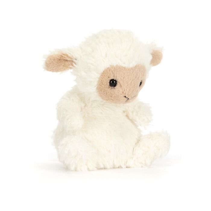 Yummy Lamb