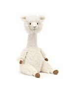 Alonso Alpaca