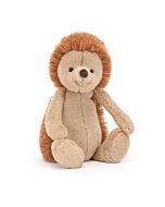 Bashful Hedgehog