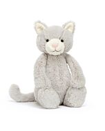 Bashful Grey Kitty