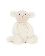 Bashful Lamb