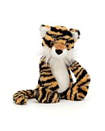 Bashful Tiger