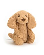 Bashful Toffee Puppy
