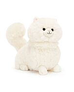 Carissa Persian Cat