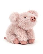 Curvie Pig