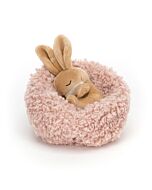 Hibernating Bunny