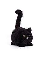 Kitten Caboodle
