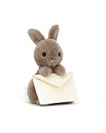 Messenger Bunny