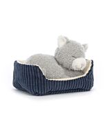 Napping Nipper Cat