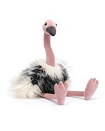 Ramonda Ostrich