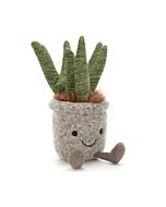 Silly Succulent Aloe