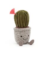 Silly Succulent Barrel Cactus