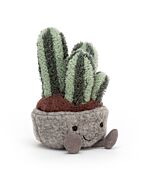 Silly Succulent Columnar Cactus