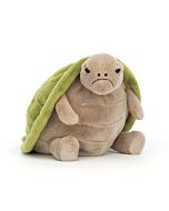 Timmy Turtle
