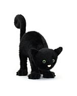 Spookipaws Cat