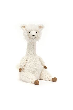 Alonso Alpaca
