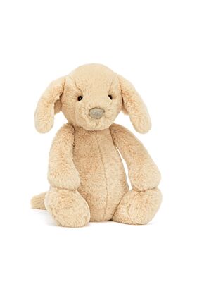 Bashful Luxe Puppy Orlando