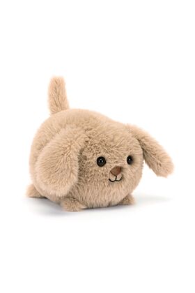 Caboodle Puppy