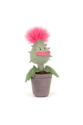 Carniflore Priscilla