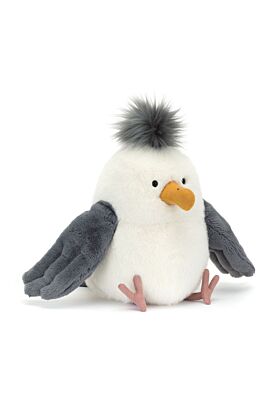 Chip Seagull