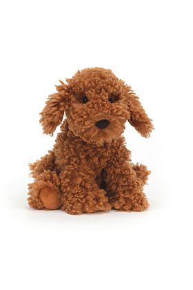 Cooper Doodle Dog